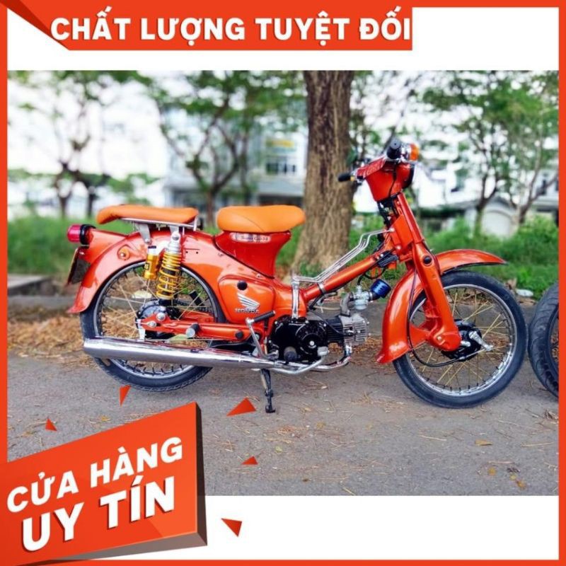 SƠN SAMURAI MÀU CAM RỰC Y3505