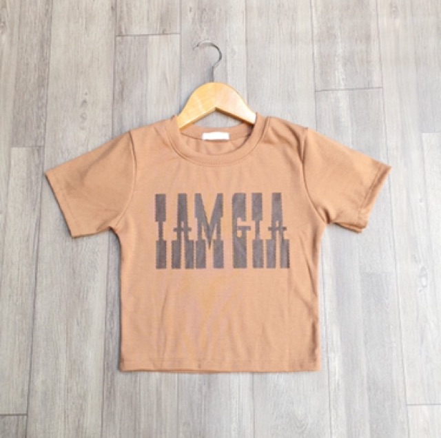 Áo Croptop in 4 màu hàng thun xịn (ap)