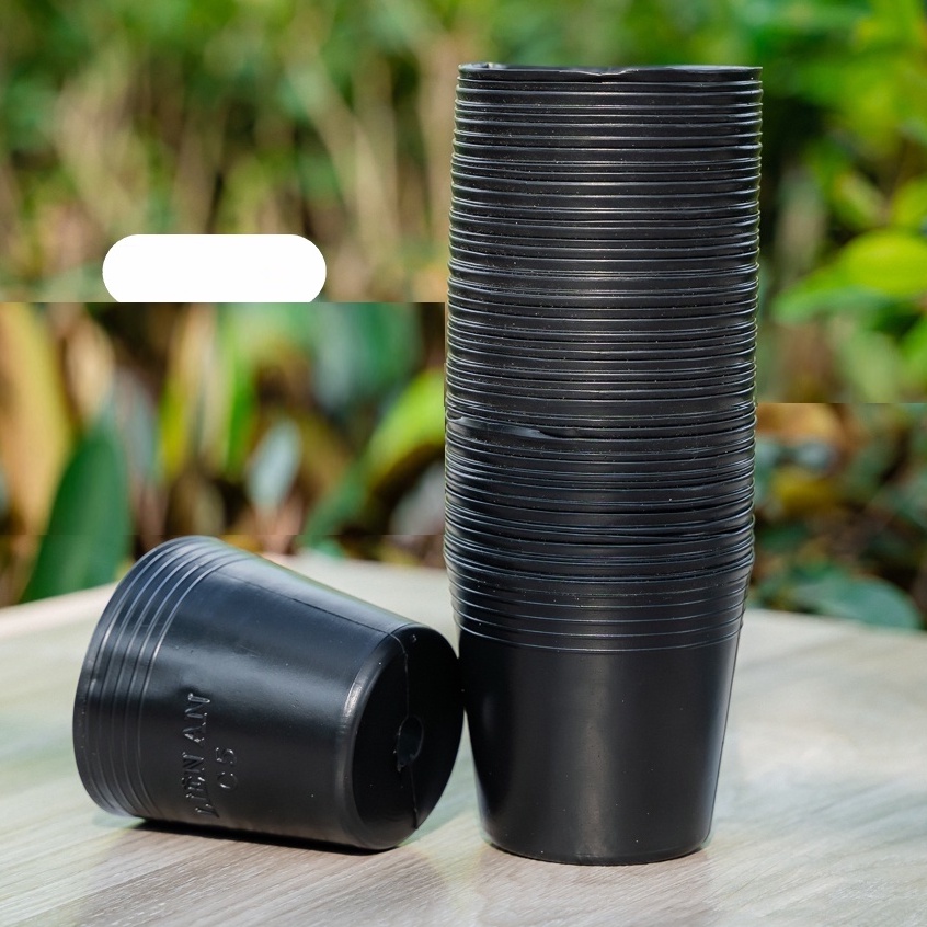 Chậu nhựa C6 , Chậu nhựa trồng cây giá sỉ