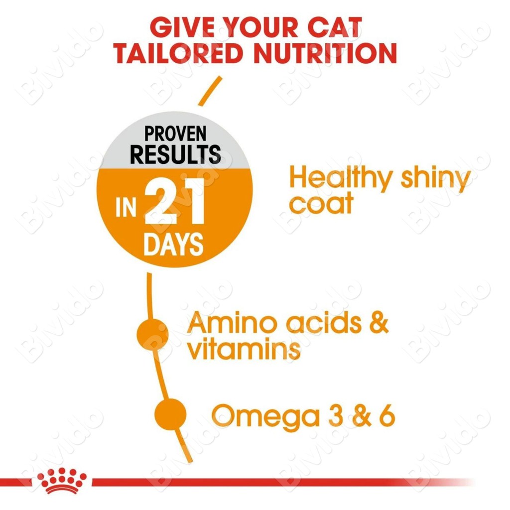 Thức ăn mèo Royal Canin Hair &amp; Skin giúp lông mượt da khỏe túi 400g - Bivido