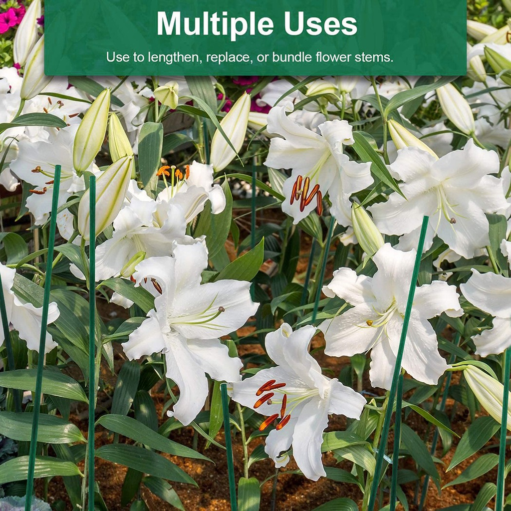 Cọc tre LILYES hỗ trợ trồng cây cứng cáp 40cm chất lượng cao