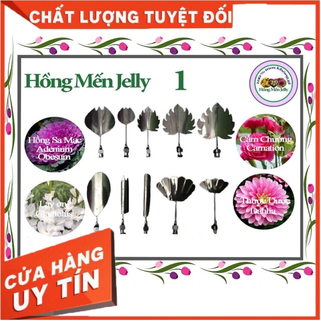 Bộ kim làm thạch rau câu 3D Hồng Mến mẫu 1-5 ( Đồ dùng làm bánh )