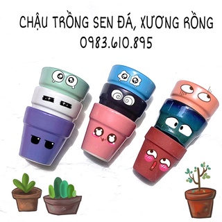 Chậu Sứ Bát Tràng Trồng Cây Cảnh
