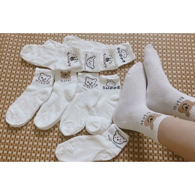 Set 5 đôi tất trắng in hình gấu thỏ cute