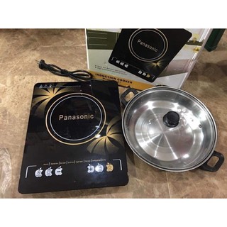 Bếp từ cảm ứng Panasonic PA-01
