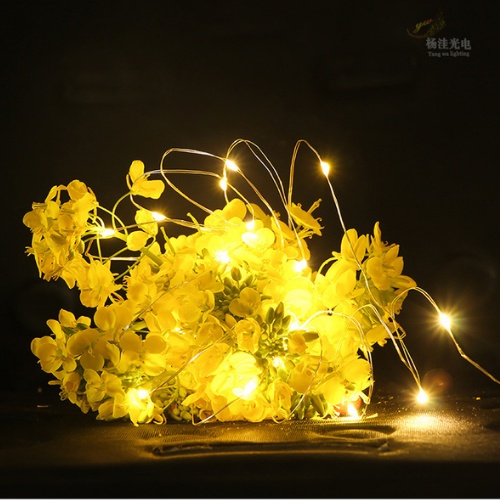 Dây đèn led trang trí fairylight đom đóm có sẵn pin dài 5m điện 5V USB