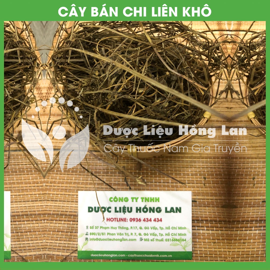 CÂY BÁN CHI LIÊN khô đóng gói 1kg - congtyduoclieuhonglan