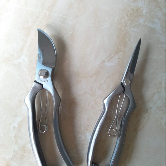 Kéo tỉa răm và cắt cành thép trắng không hoen rỉ