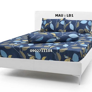 Bộ ga gối cotton nhiều mẫu