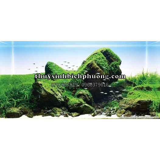 CÁT TRẮNG 1KG TRÃI NỀN GIẢ SÔNG/SUỐI/ĐƯỜNG ĐI CHO HỒ CÁ THỦY SINH