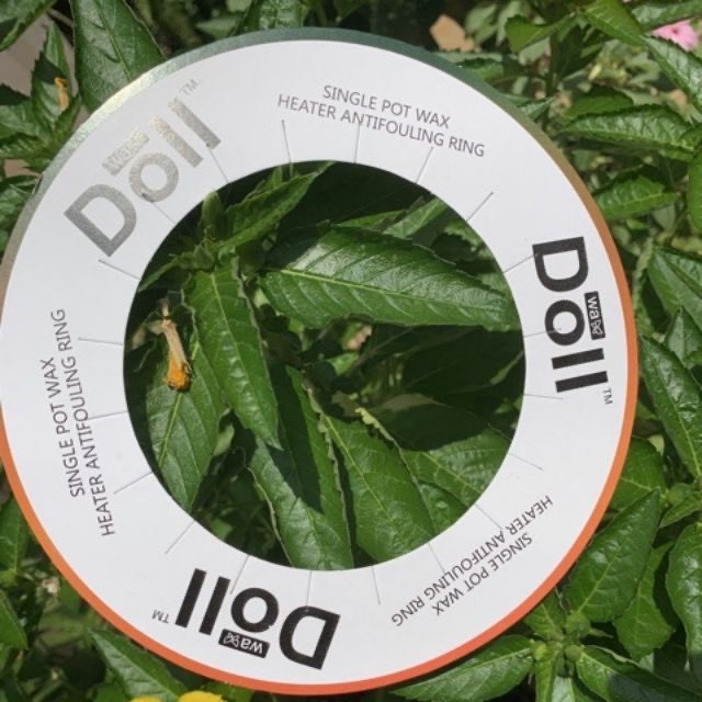 (Hàng có sẵn) Nồi nấu sáp wax Pro Wax 100 và 100g sáp wax viên nóng Full 6 | BigBuy360 - bigbuy360.vn