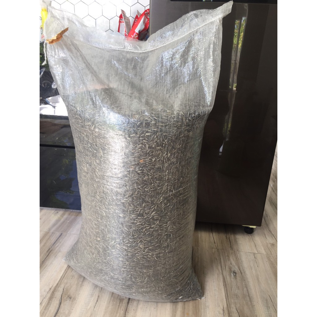 HẠT HƯỚNG DƯƠNG SIZE LỚN, TRUNG  CHO TẤT CẢ DÒNG VẸT SIZE TRUNG, LỚN VÀ THÚ CƯNG 1 KG