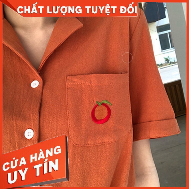 Áo sơ mi tay ngắn hoạ tiết hình trái cây thiết kế thanh lịch cho phái nữ - Hàng nhập khẩu