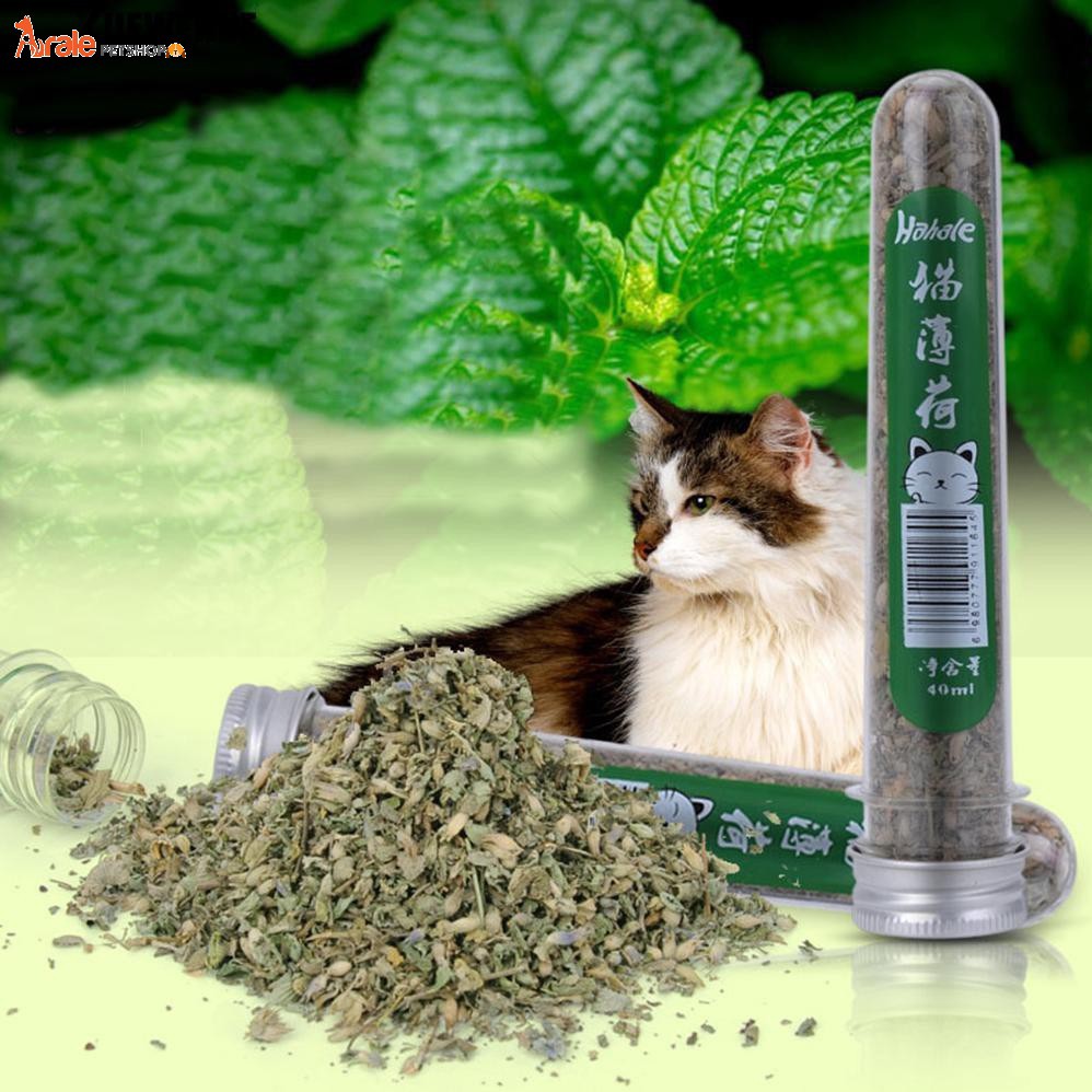 Catnip ống cho mèo - Cỏ bạc hà khô cho mèo 40ml