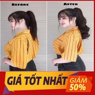 NGOẠM XOĂN SÓNG 50cm