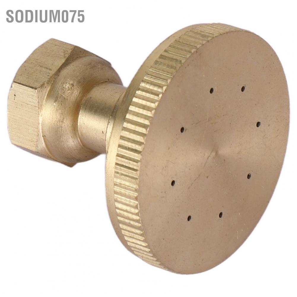 Sodium075 Vòi phun làm vườn Đồng G3 / 8 ren trong Đầu thẳng lỗ ống nước cho nông nghiệp