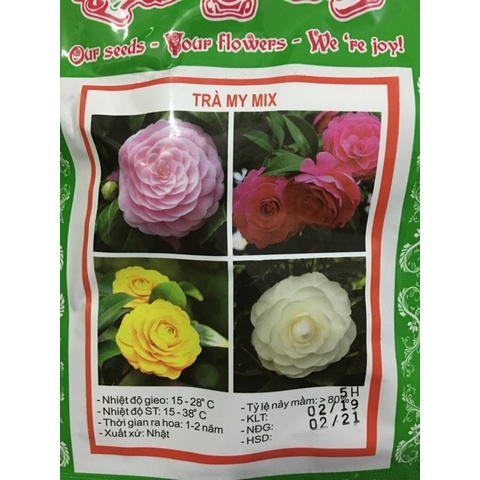 ( HOT HOT ) Hạt Giống Hoa Trà My Nhật Mix