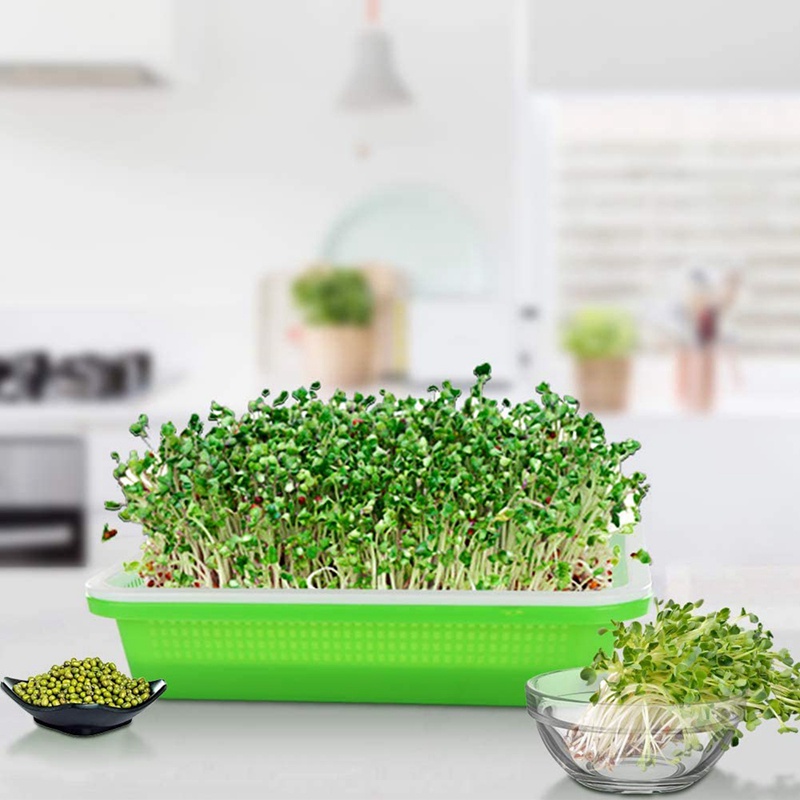 Set 3 Khay Trồng Cây Mầm Không Cần Đất Sức Chứa Lớn Có Nắp Đậy