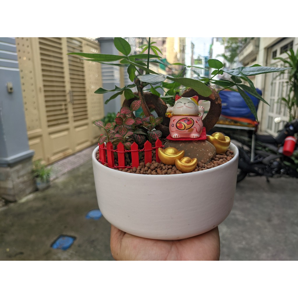 Bộ 5 mèo thần tài may mắn phát lộc phát tài | BigBuy360 - bigbuy360.vn