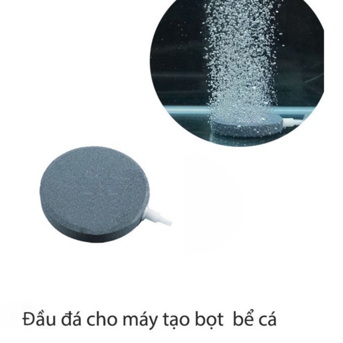 Quả Sủi Đĩa 4cm 6cm 8cm 10cm 12cm Cho Bể Cá Cảnh (đĩa sủi khí oxy cao cấp)