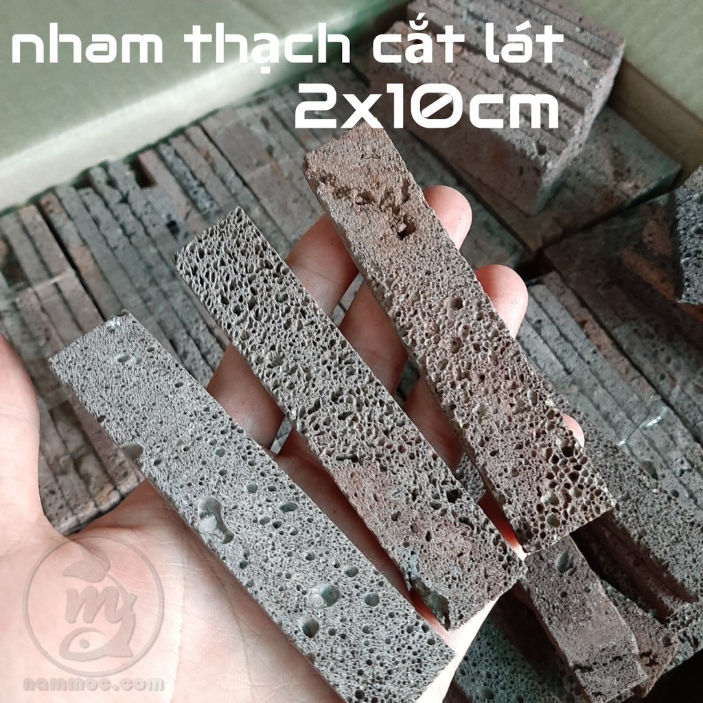 Nham Thạch Lát Mỏng - Giá thể ghép Bucep, Ráy cực tốt