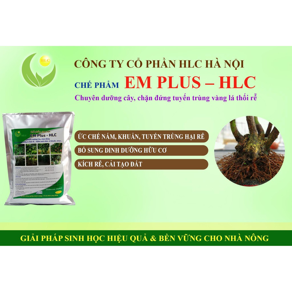 CHẾ PHẨM EM PLUS HLC - CHUYÊN DƯỠNG CÂY, CẢI TẠO ĐẤT TRỒNG, ỔN ĐỊNH PH, NGĂN NGỪA NẤM BỆNH HẠI RỄ CÂY TRỒNG - GÓI 1KG