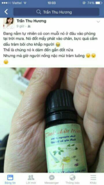 Tinh dầu tràm Huế 10ml Cầu Bình An