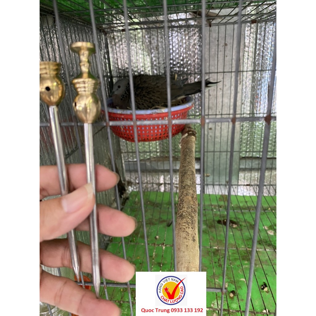 Nọc Cu gáy dùng bẫy mồi trần, hàng Việt Nam chất lượng cao