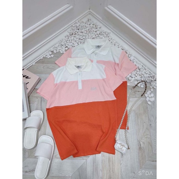 Áo thun polo phối 3 màu cổ bẻ 1305