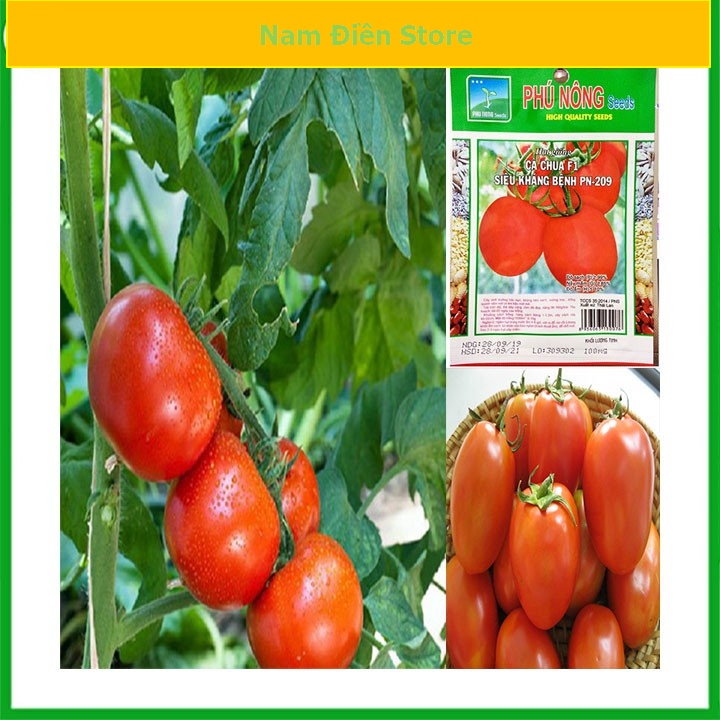 Hạt giống cà chua F1 Phú Nông (100mg/gói) có khả năng chịu nhiệt | Tomato F1 Phu Nong