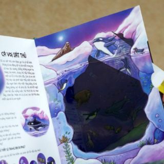 Đèn Pin Khám Phá - Moonlight Ocean - Đại Dương Dưới Ánh Trăng