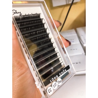 mi lông chồn độ cong D