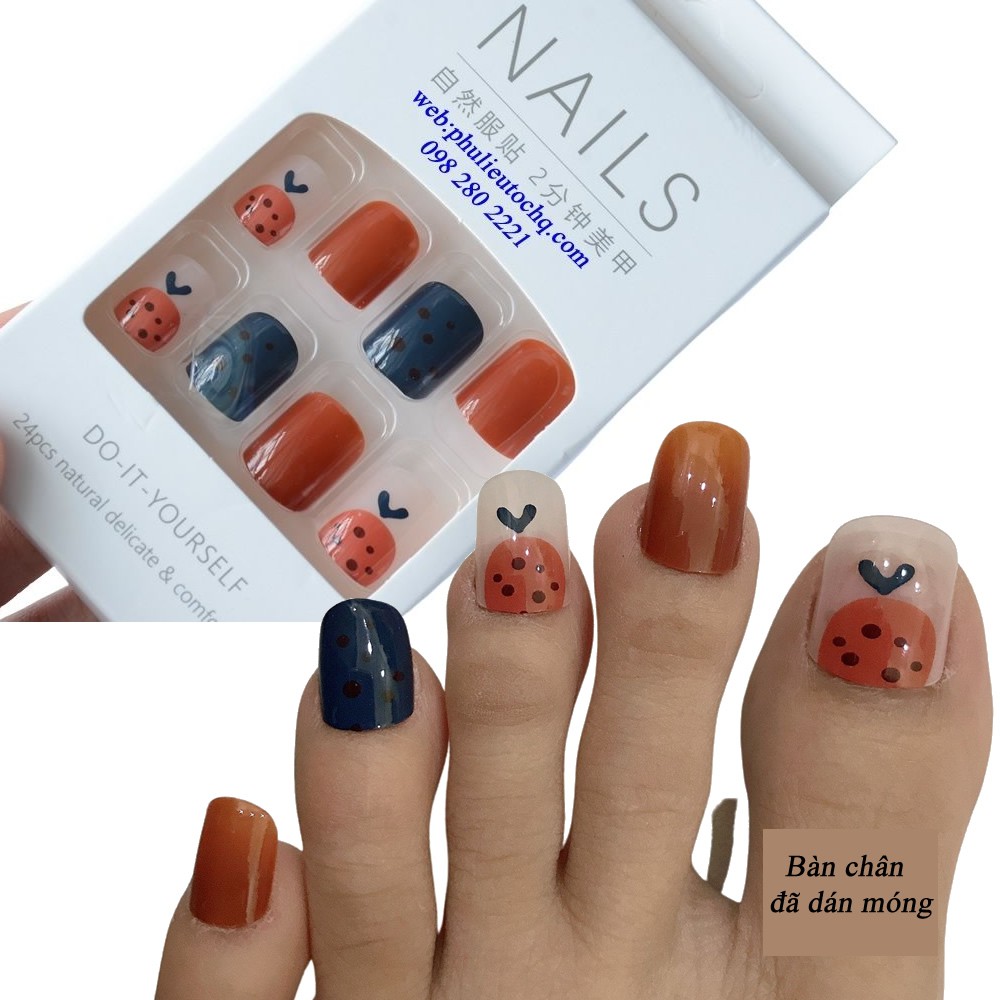 Set 24 móng tay giả  nail cực kỳ xinh đẹp