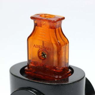 2 phích cắm 10A chân phi 4