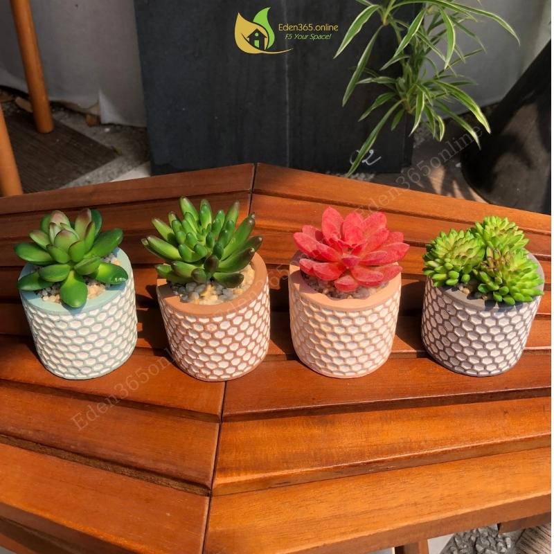 Bộ 4 chậu sen đá trang trí, chậu sen đá mini nhân tạo họa tiết tổ ong dễ thương, trang trí decor quá cafe, bàn làm việc