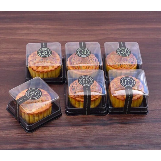 10 HỘP NHỰA VUÔNG ĐẾ ĐEN 250GR XY12-12