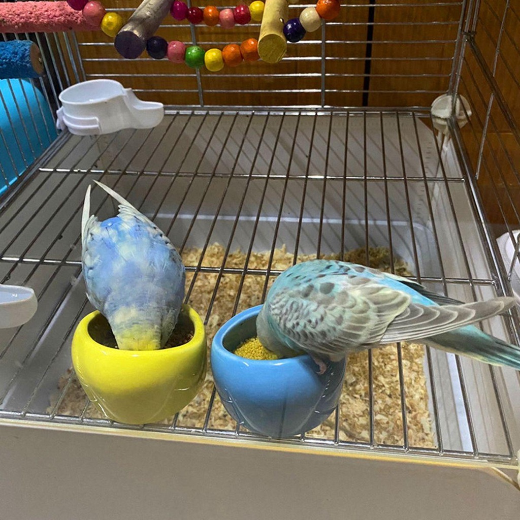 Bình Uống Nước Bằng Gốm Cho Chuột Hamster