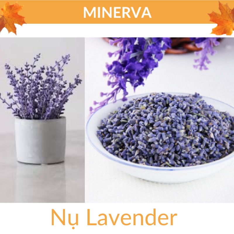 Set hoa lá xông nhà Lavender - lá Bạch đàn - Nụ hồng tây tạng hương thơm tự nhiên, thanh tẩy, thư giãn