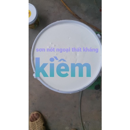 sơn nót kháng kiềm. sơn chậu cảnh hàng rào lăng mộ