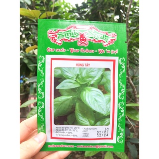 Hạt giống húng tây basil, húng quế ngọt