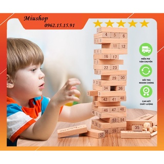 Bộ đồ chơi rút gỗ xếp hình Domino Montessori 54 thanh loại to