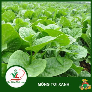 Hạt giống rau mồng tơi RD 38 - 20g