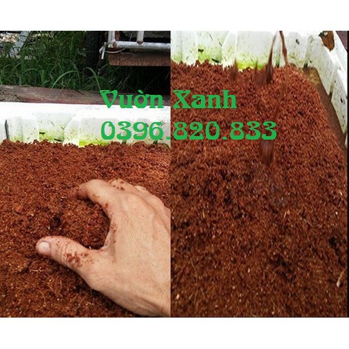 [SIEURE] Mụn xơ dừa dùng trồng rau, cây cảnh, phong lan ... 1kg hàng đẹp, phân phối chuyên nghiệp.