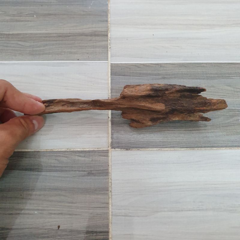 Lũa nhẹ để trang trí hồ thủy sinh