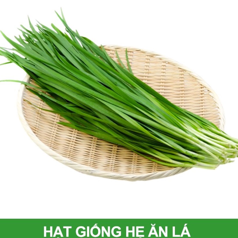 Hạt Giống Hẹ Lá Cao Sản (2g)