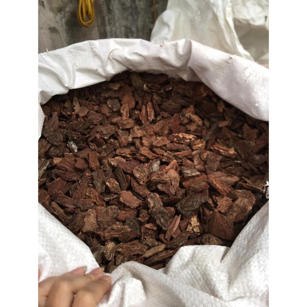 1kg Vỏ thông đỏ trồng lan dk 3-5