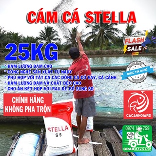 Thức ăn cá koi - cám stella +, đạm 42-44%