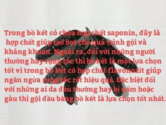 Túi lọc thảo dược bồ kết 1 bịch 20 gói Bao bì mới | BigBuy360 - bigbuy360.vn