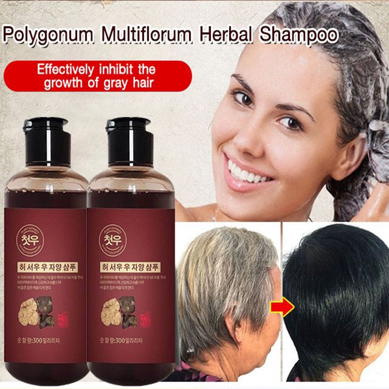 Dầu Gội Thảo Dược Polygonum multiflorum Giúp Loại Bỏ Tóc Trắng Đen Hiệu Quả