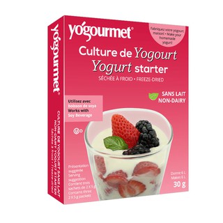 Men làm sữa chua vegan hộp 6 gói